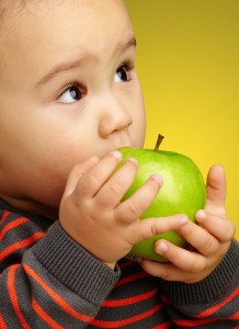 nutrition services