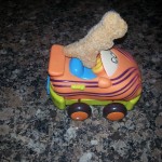 food truck