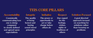 TEIS Core Pillars